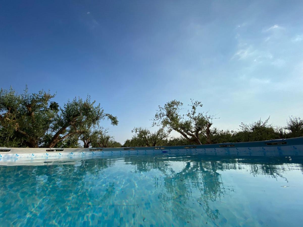 Uliveto Nonno Giacomo โรโซลีนี ภายนอก รูปภาพ